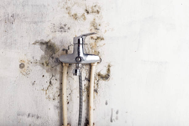 Certified Mold Removal in Charter Oak, CA