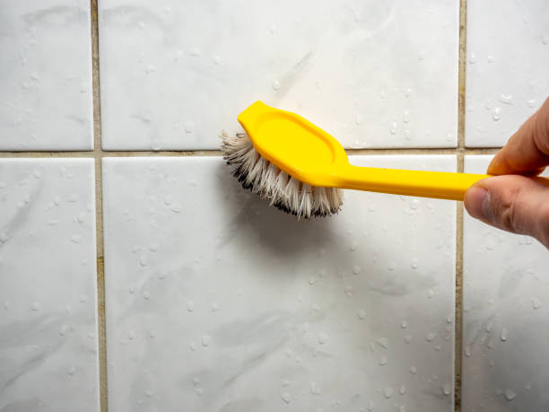 Mold Removal Process in Charter Oak, CA