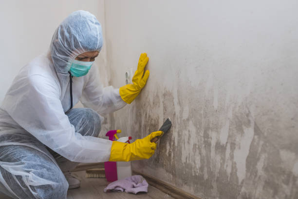 Best Mold Testing  in Charter Oak, CA