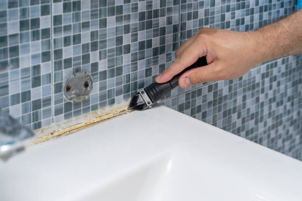 Best Fast Mold Removal  in Charter Oak, CA