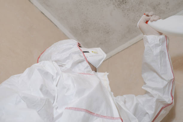 Best Local Mold Removal Service  in Charter Oak, CA