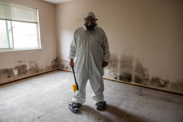 Best Office Mold Removal Services  in Charter Oak, CA